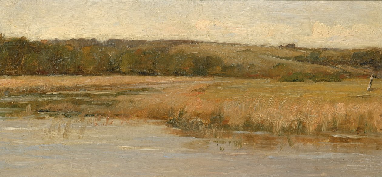 Hill and Marshland, slutningen af det 19.-begyndelsen af det 20. århundrede. af Max Weyl