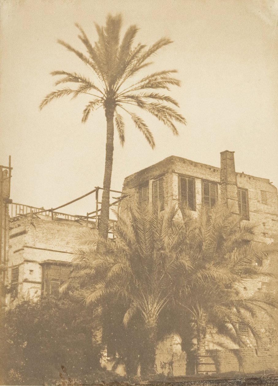 Daddelpalmer og Maison du Quartier Franc, Cairo, december 1849-januar 1850. af Maxime Du Camp