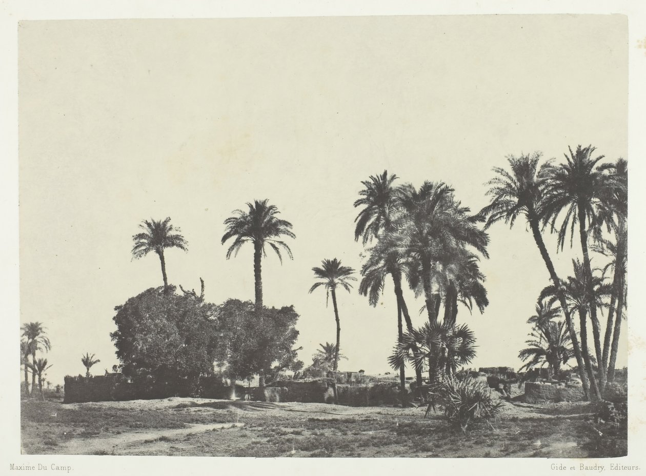 Landsbyen Hamameh, Øvre Egypten, 184951, trykt 1852. af Maxime Du Camp