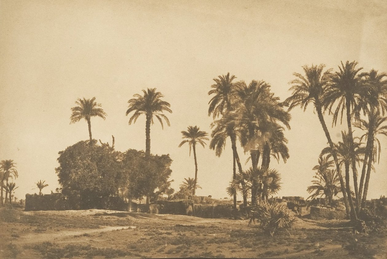 Udsigt over landsbyen Hamarneh, nær Dendera højre bred, 1849-50. af Maxime Du Camp