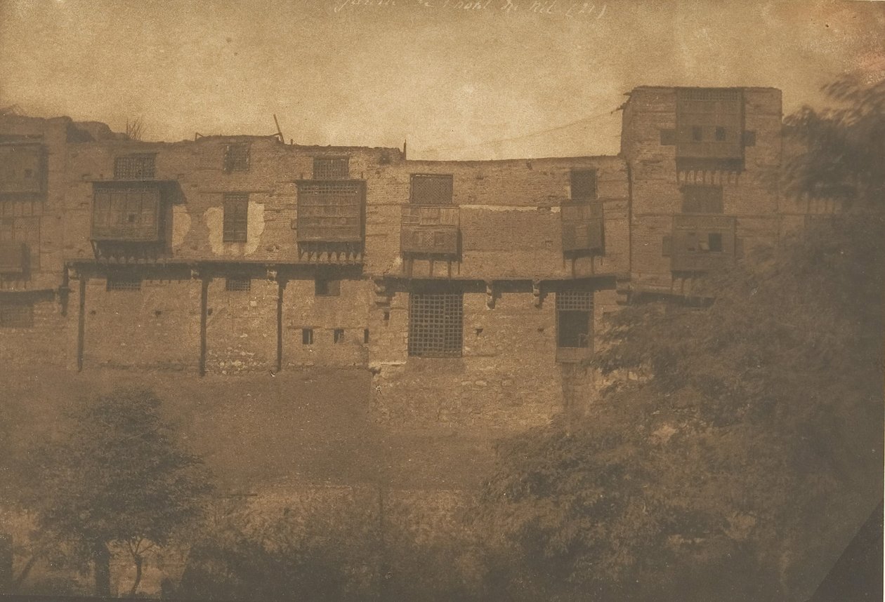 Udsigt taget fra en Jardin du Quartier Franc i Kairo, december 1849-januar 1850. af Maxime Du Camp