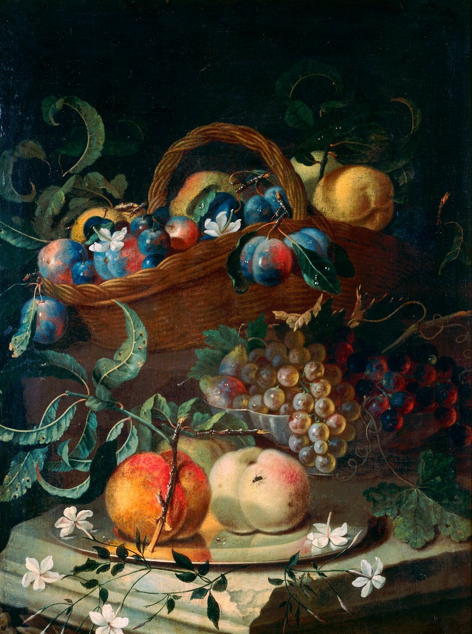 Frugt af Maximilian Pfeiler or Pfeiller