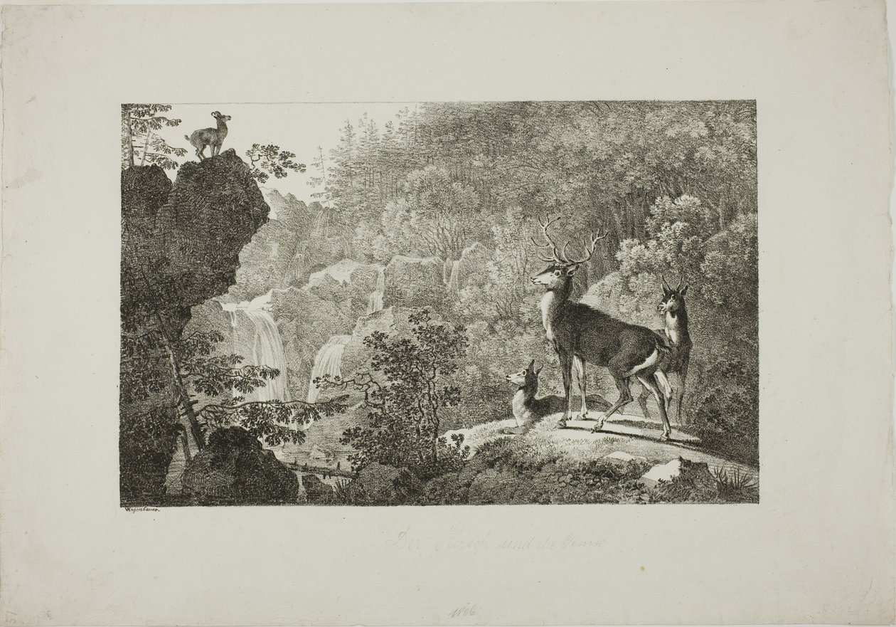 Hjorten og gemsene af Maximilian Josef Wagenbauer