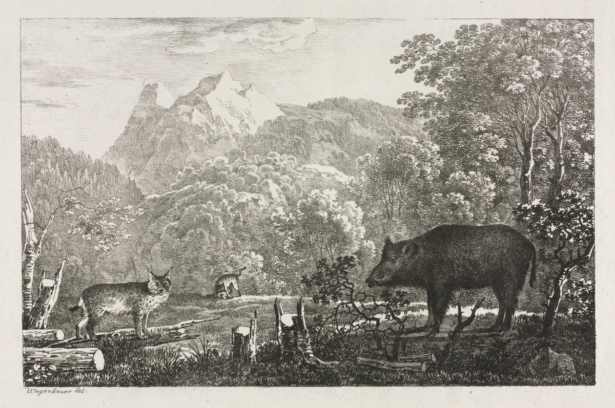 Vildsvin, Vildkat og Lynx af Maximilian Josef Wagenbauer