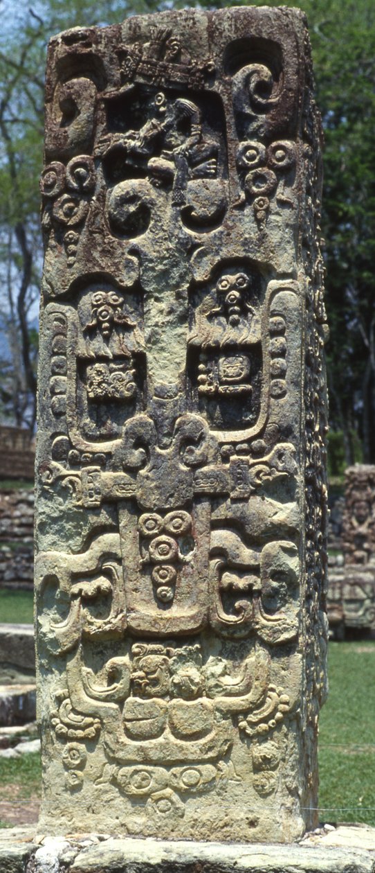 Bagsiden af stela B, Copan, sen klassisk periode, 731 e.Kr af Mayan