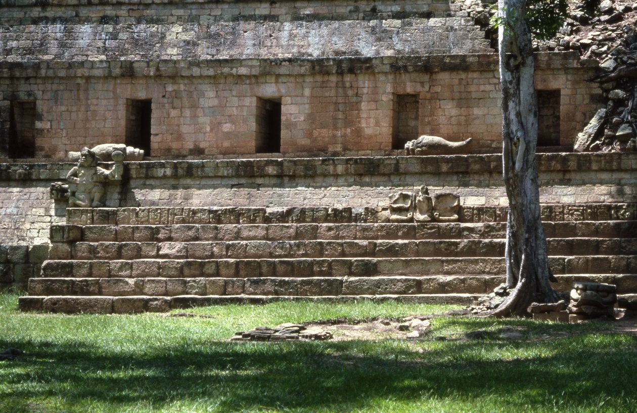 Copan West Court, sen klassisk periode 600-900 e.Kr af Mayan