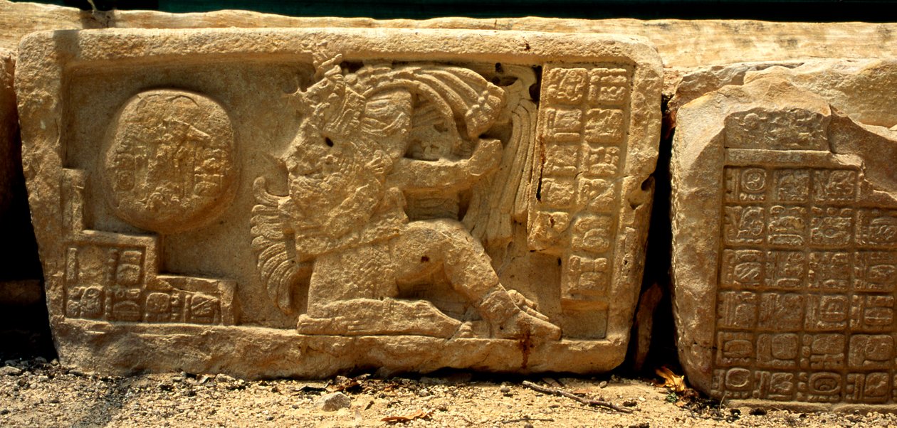 Lavt relief af en boldspiller, bolden og glyfferne, der giver en beskrivelse, sen klassisk periode (700-900 e.Kr.) af Mayan