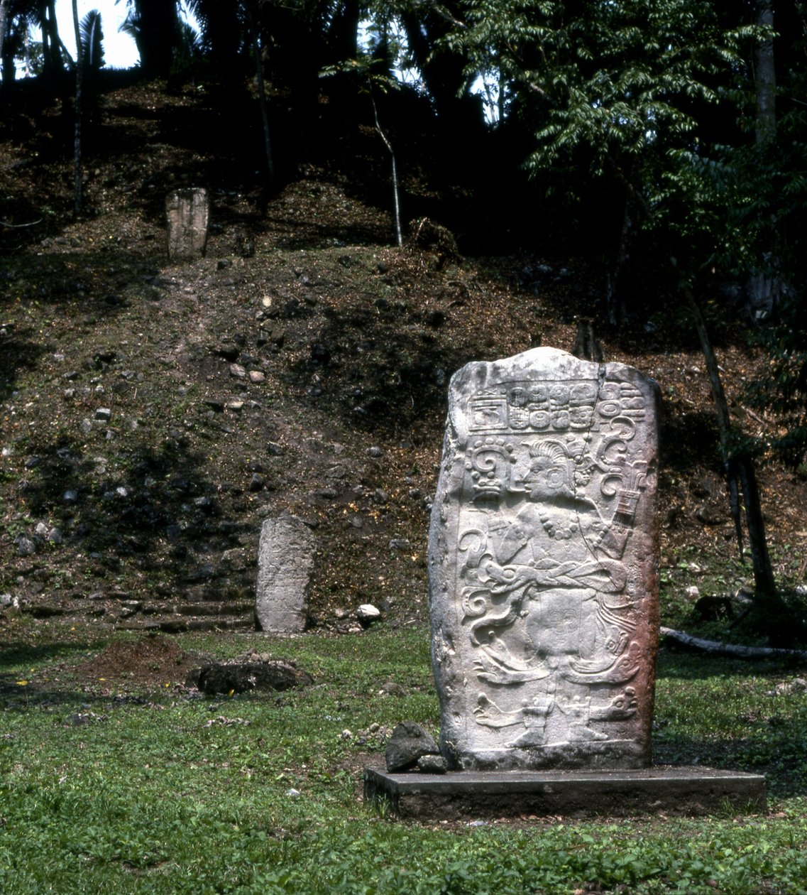 Seibal, Stela 13, Ultimate Classic Period, 849 AD af Mayan