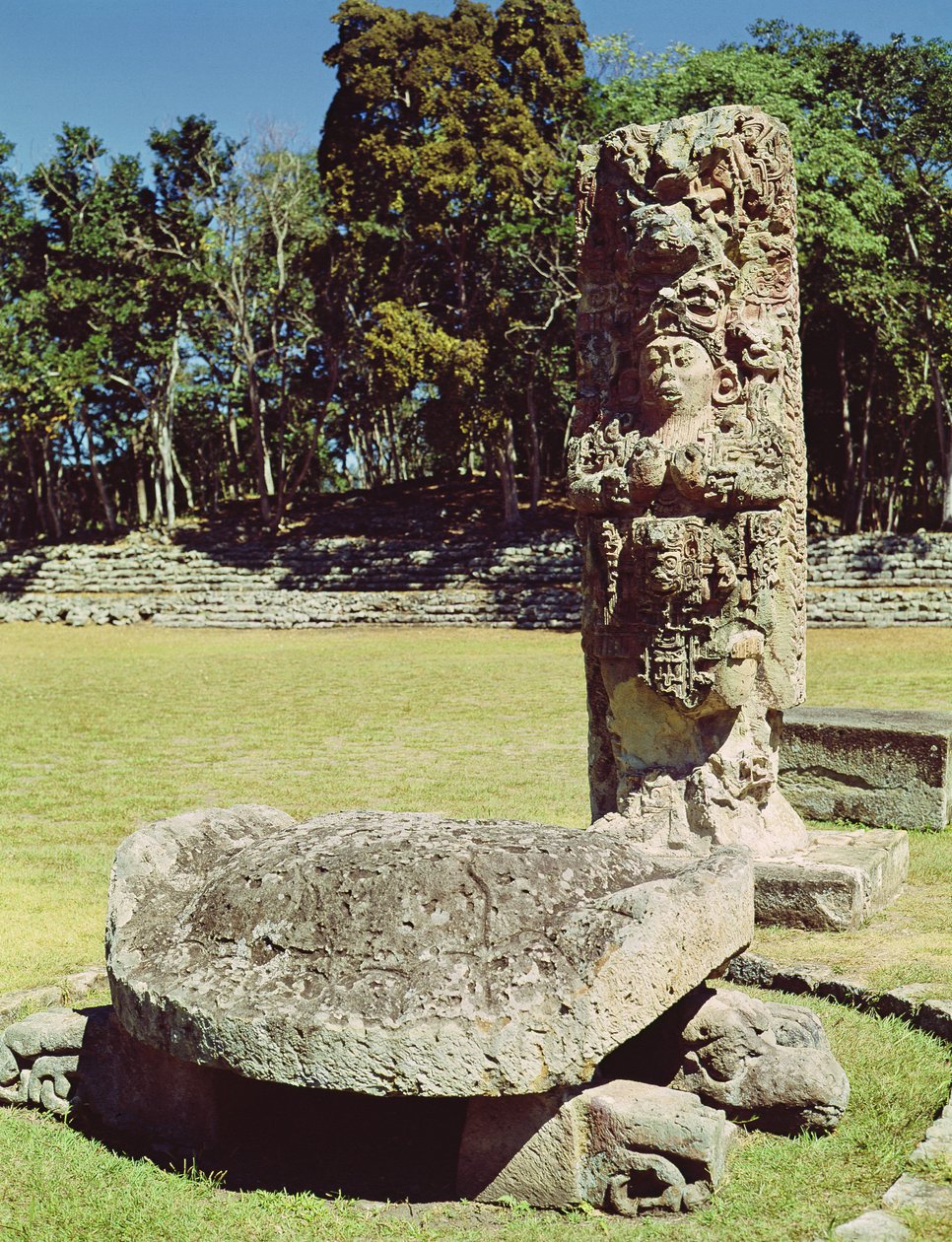 Stele C, der forestiller atten kaniner og en statue af en tohovedet skildpadde foran, 711 e.Kr. af Mayan
