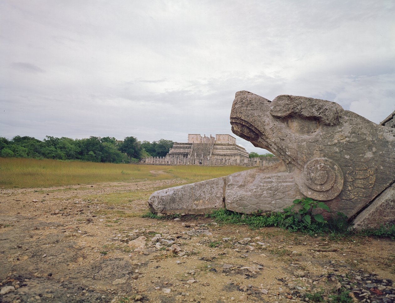 Krigernes tempel og slangesøjlen af Mayan