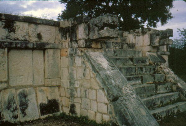 Platform for Tigre og Eagles af Mayan