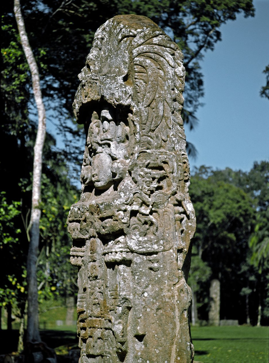 Detalje af en stele af den store plads af Mayan