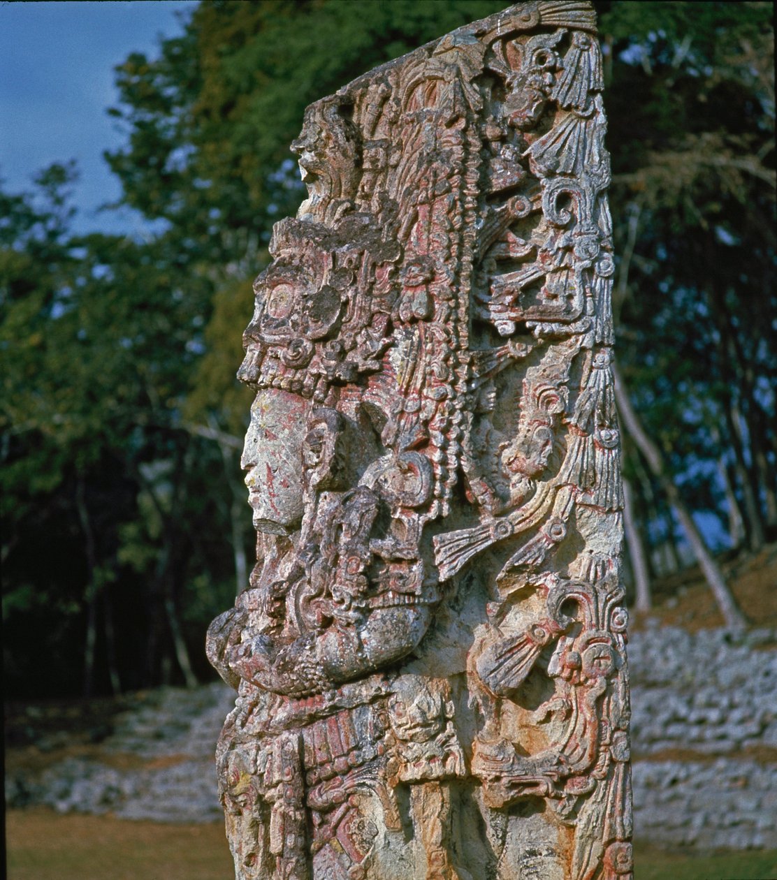 Stele H, Plaza of Ceremonies, 731 AD af Mayan
