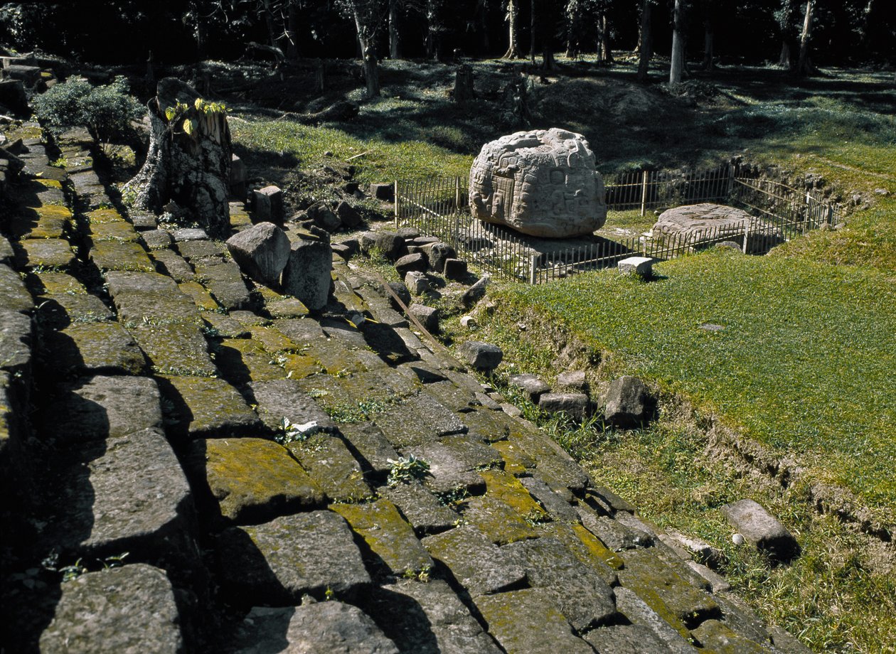 Zoomorfisk alter P af Mayan