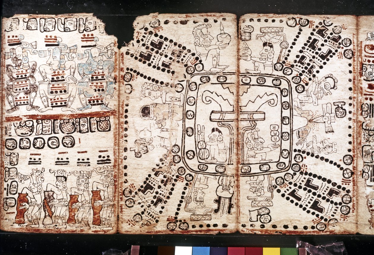 MAYA-CIVILISATIONEN: Codex Tro-Cortesiano, midten af det 15. århundrede (bark-grøntsagsfibre) af Mayan Mayan