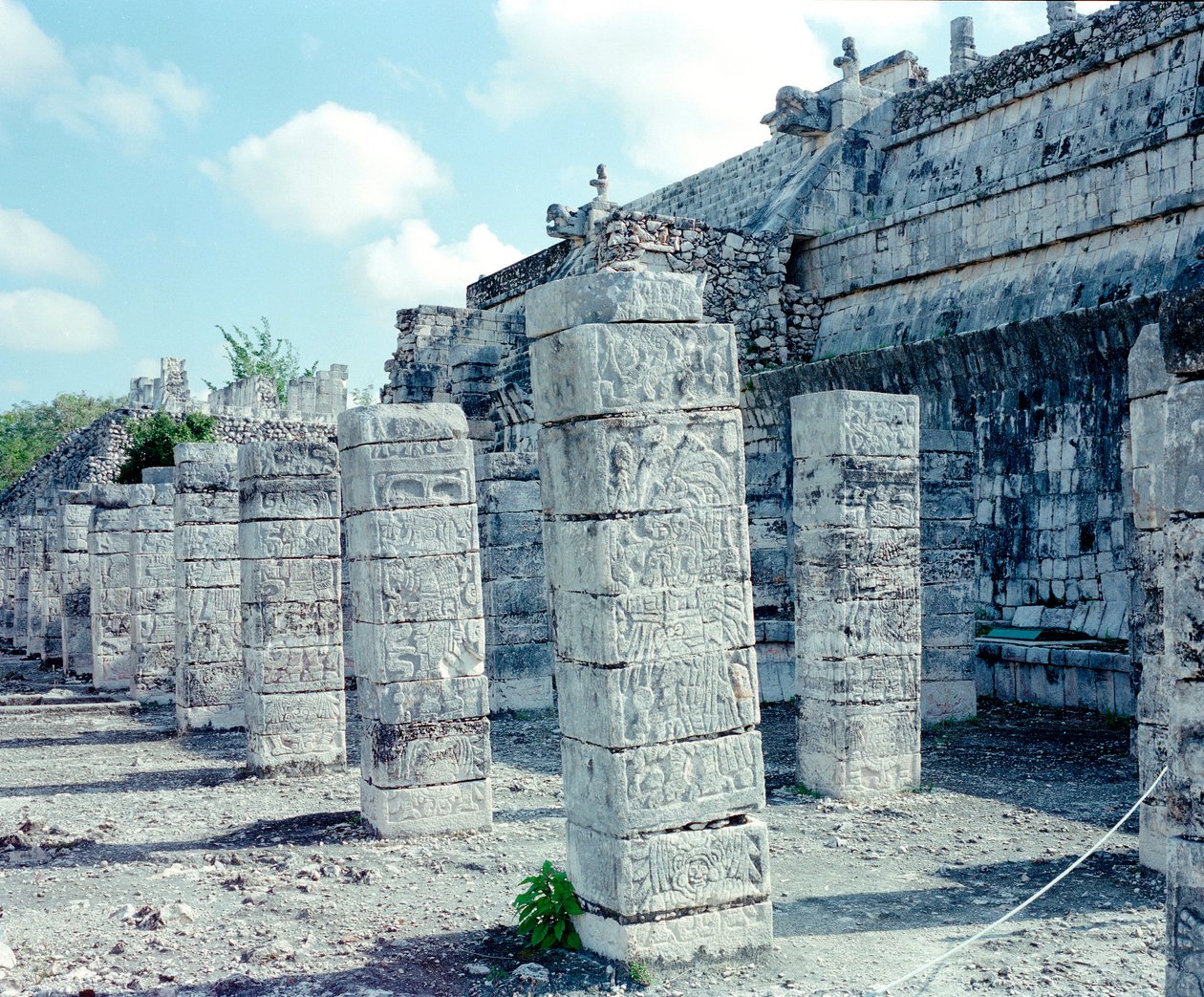 Før colombiansk civilisation: udsigt over stedet for Chichen Itza i Yucatan-regionen. Maya-civilisation, klassisk periode og Maya-renæssance, 750-1200 e.Kr. Mexico af Mayan Mayan