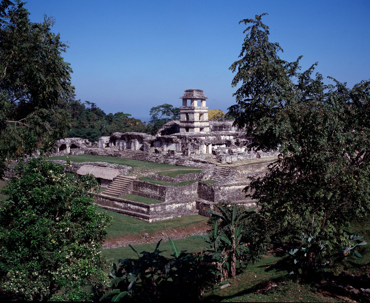 Før colombiansk civilisation: udsigt over stedet for Palenque i Chiapas klassisk maya-periode af Mayan Mayan