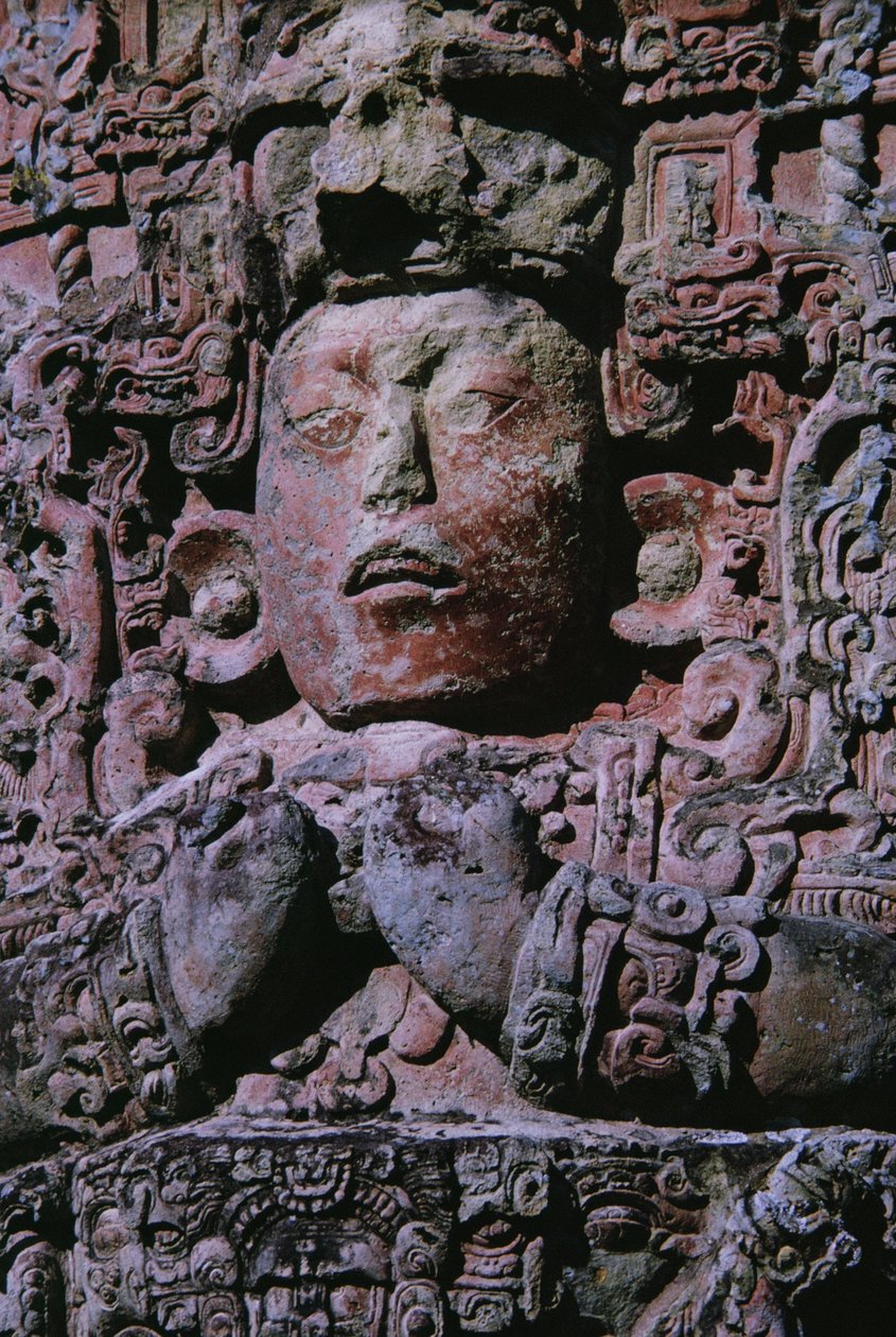 Stele i Grand Plaza (sten) (detalje af 231827) af Mayan Mayan