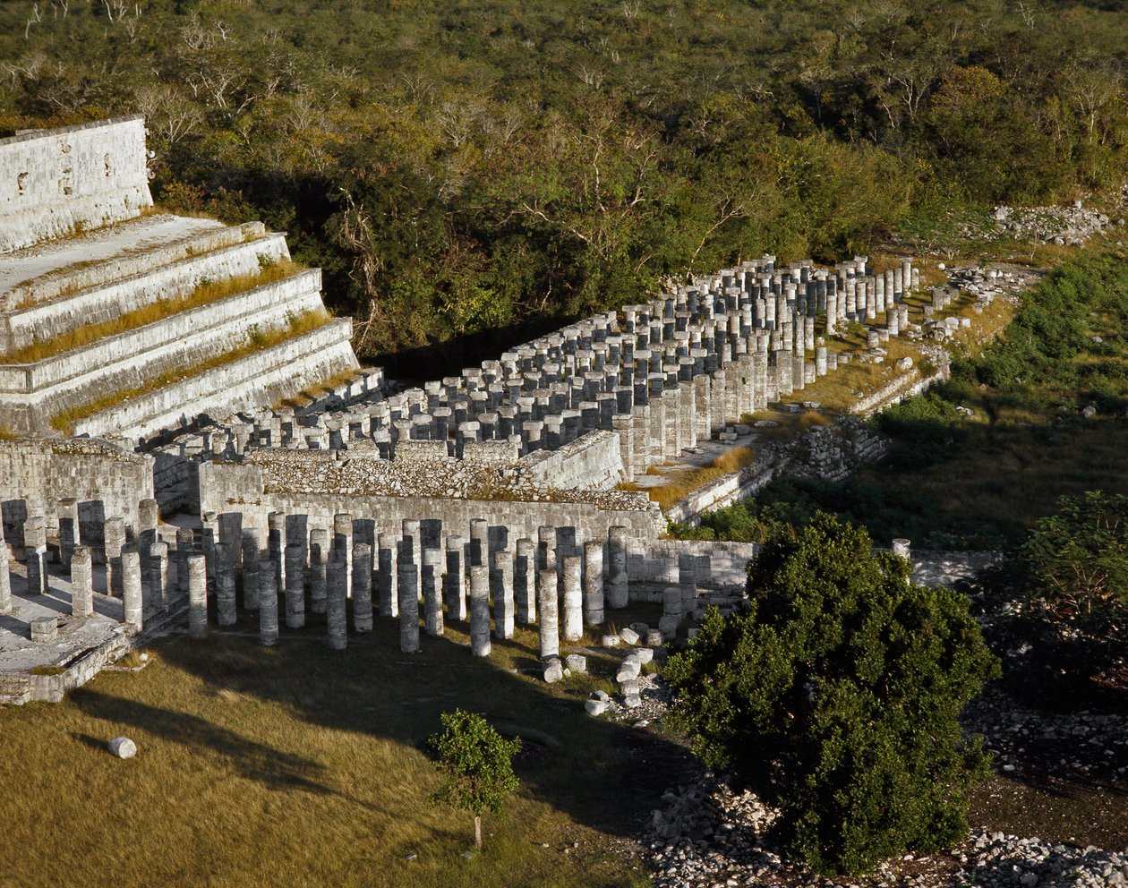 Tempel med 1000 søjler af Mayan Mayan