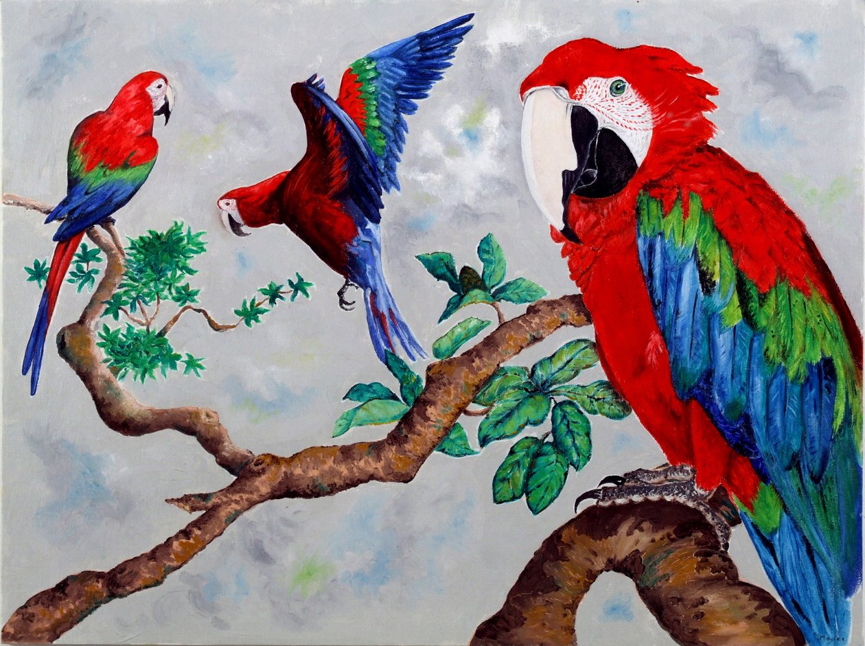 Macaws, 2006 af Maylee Christie