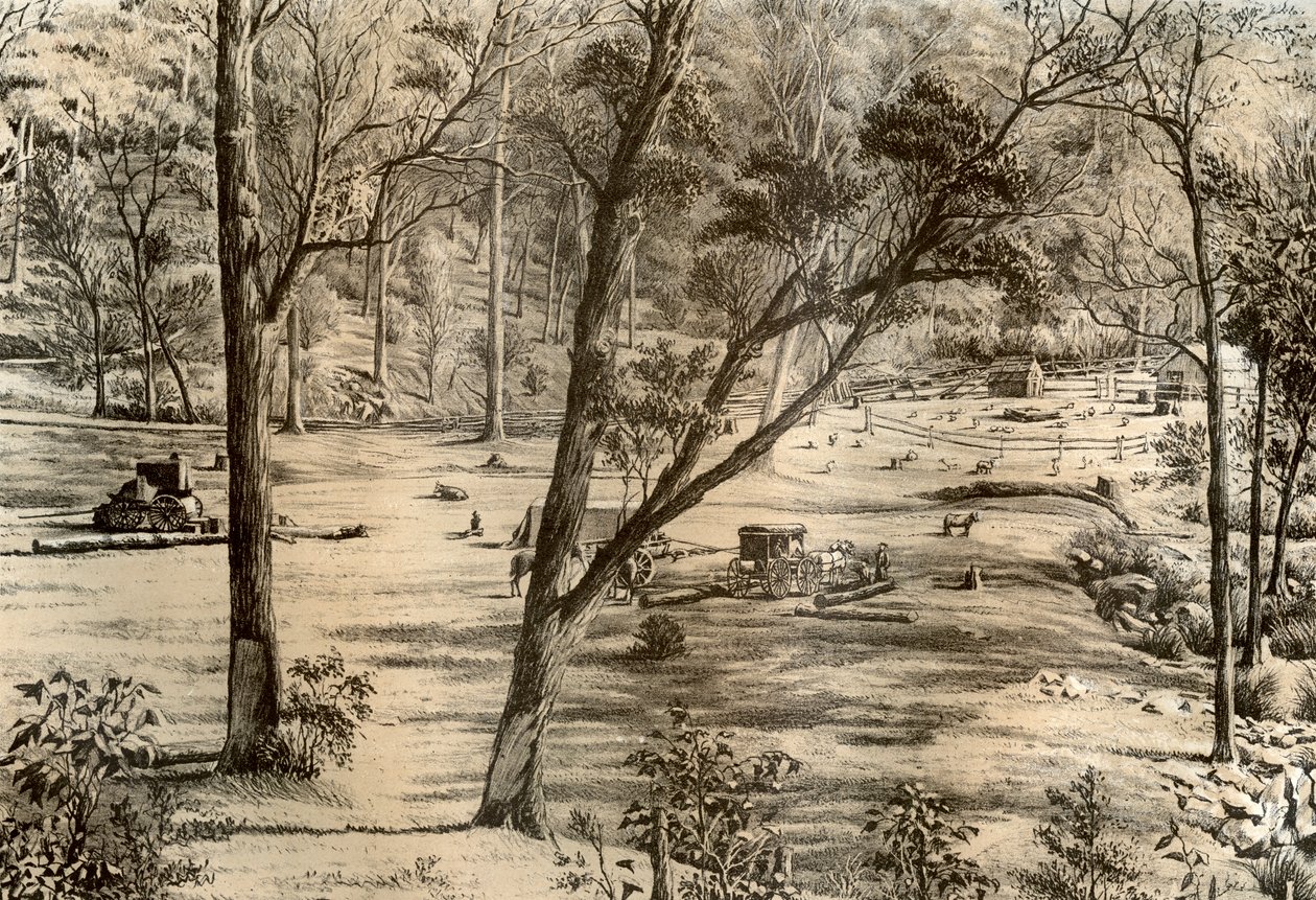 Fri udvælgerhytte, Australien, 1879 af McFarlane and Erskine