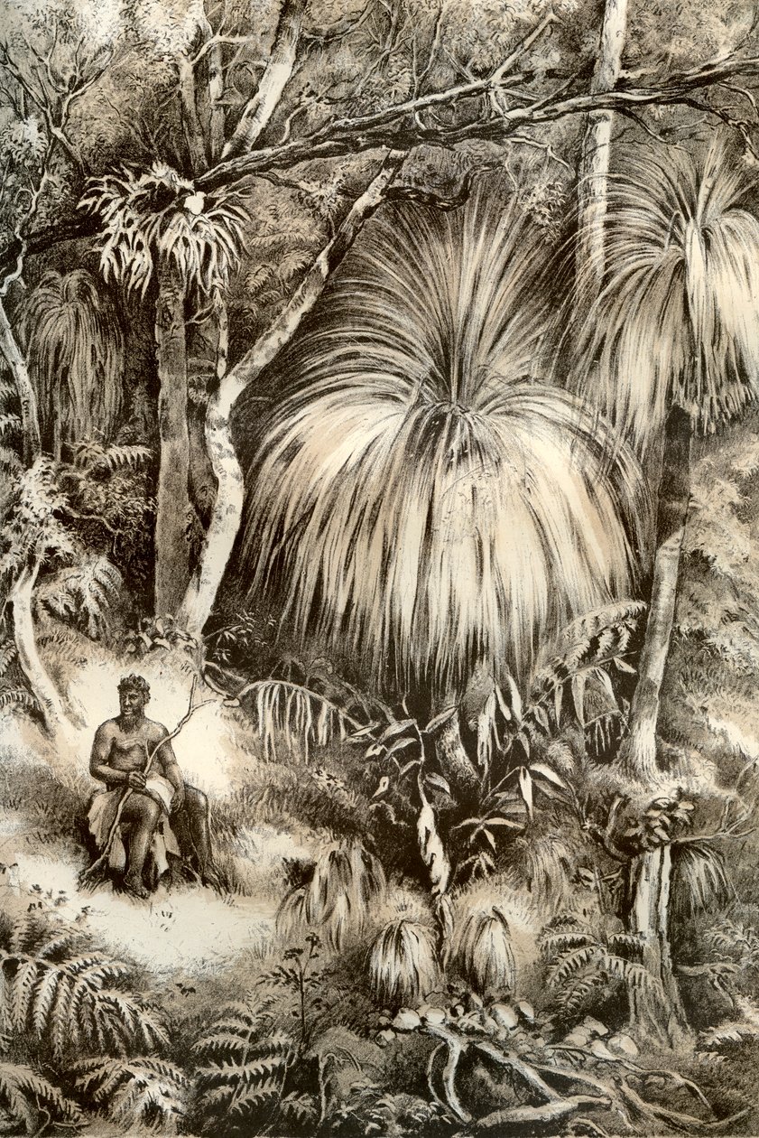 Tasmansk skovscene, 1879 af McFarlane and Erskine