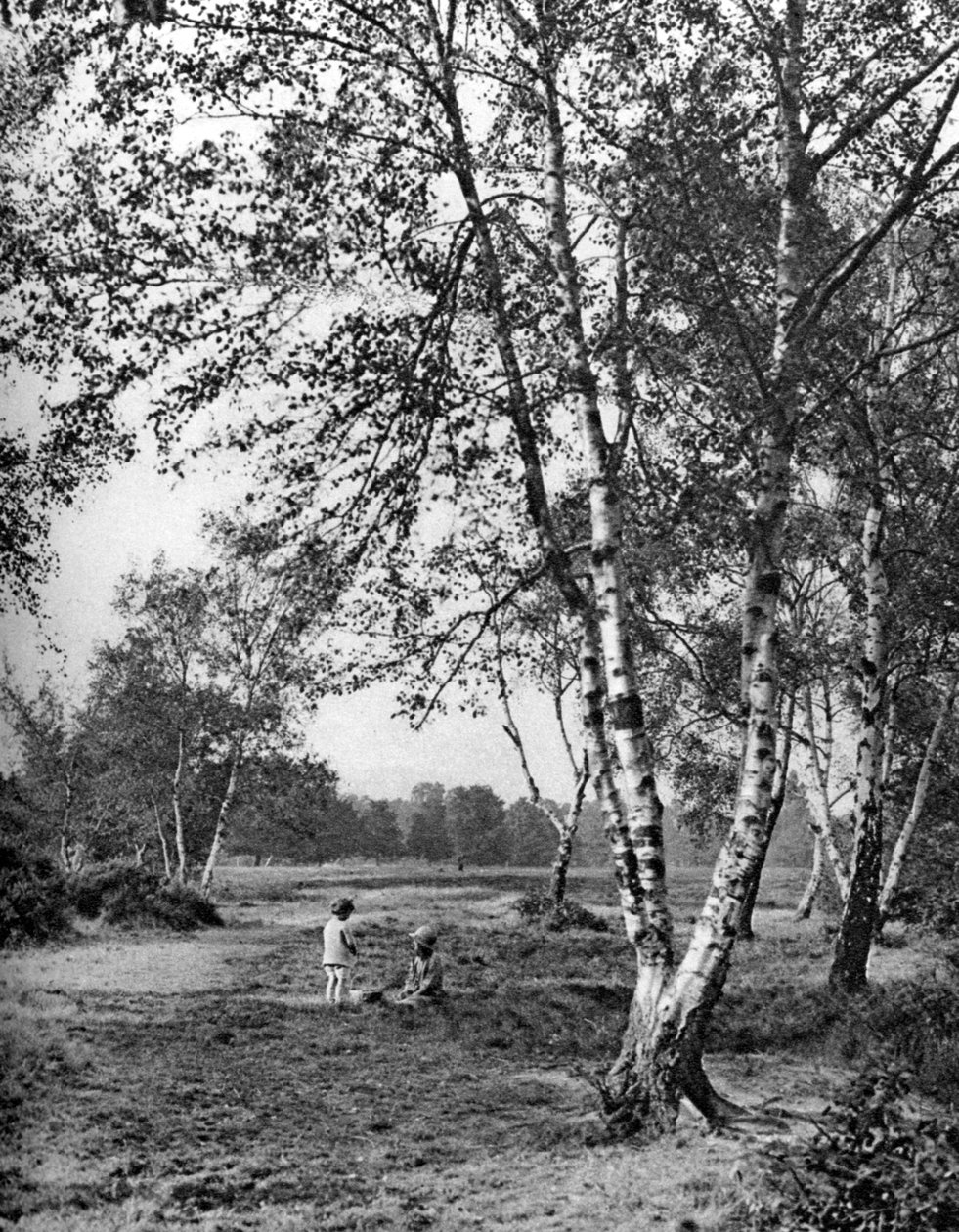 Putney Heath, London, 1926-1927 af McLeish