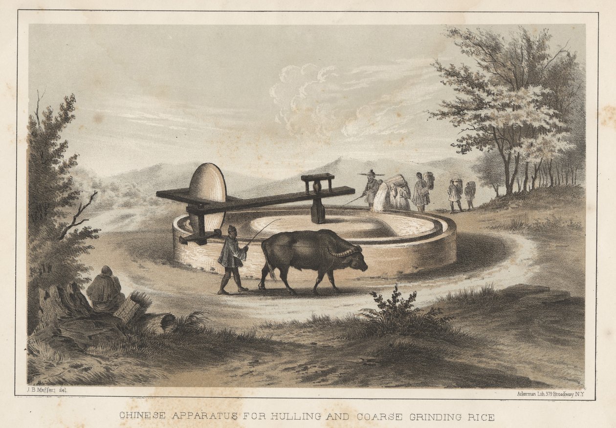 Kinesisk apparat til afskalning og grovmaling af ris, 1855 af Meffert