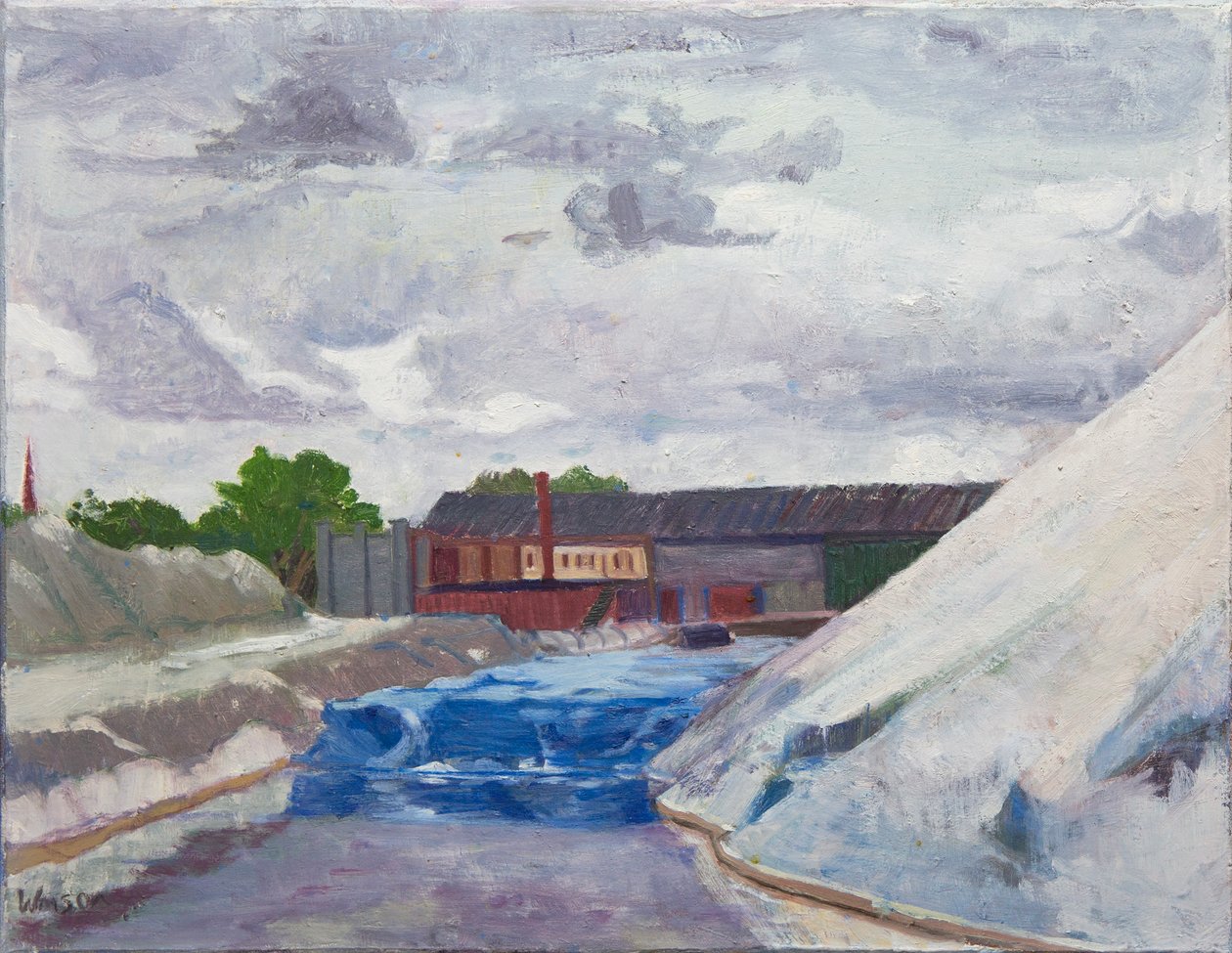 Salt Dam on the Cal Sag, 2014 (olie på lærred) af Megan Williamson