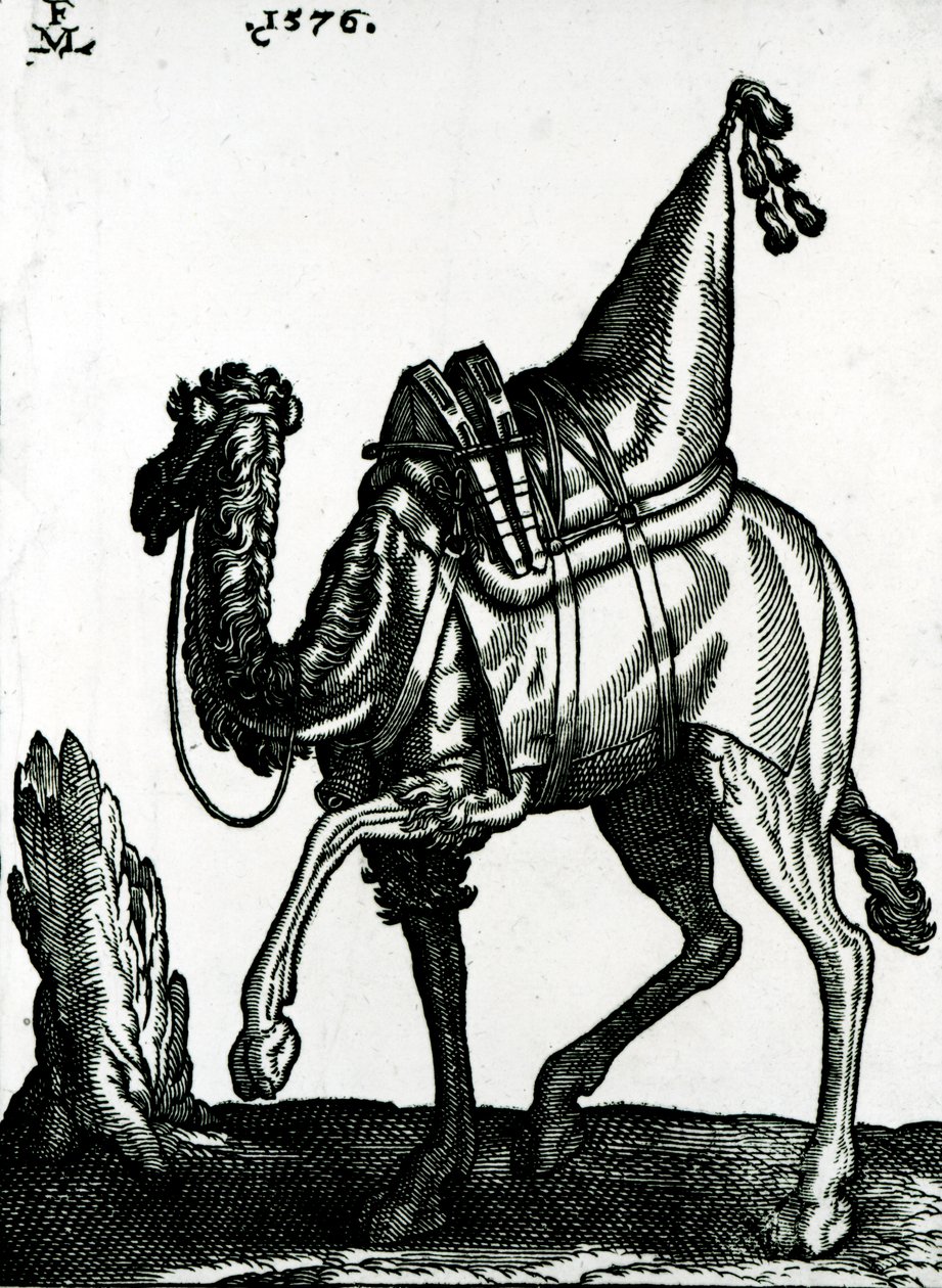 Kamel (træblok) af Melchior Lorck