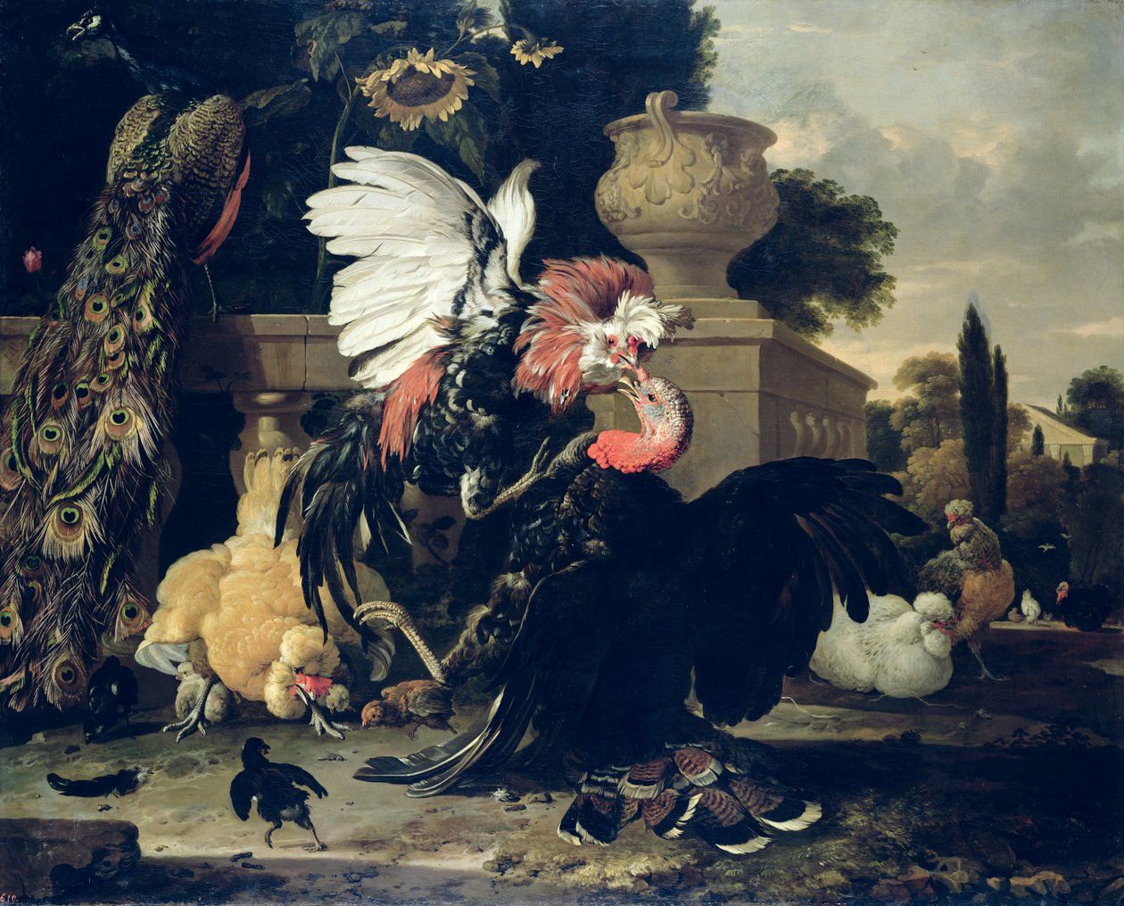 Kamp mellem en hane og et Tyrkiet, 1668 af Melchior de Hondecoeter