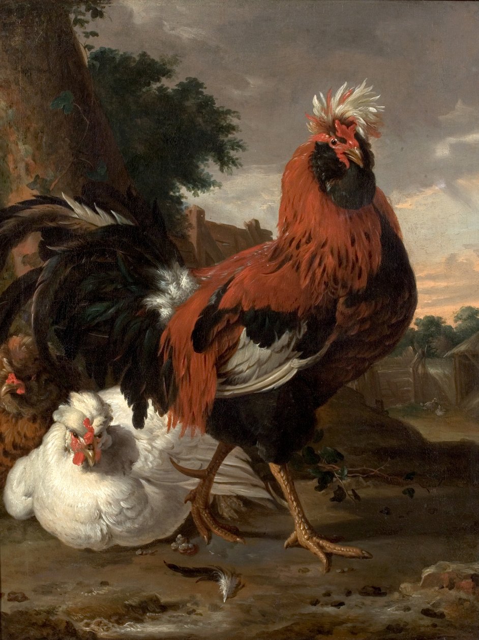 Fjerkræ af Melchior de Hondecoeter