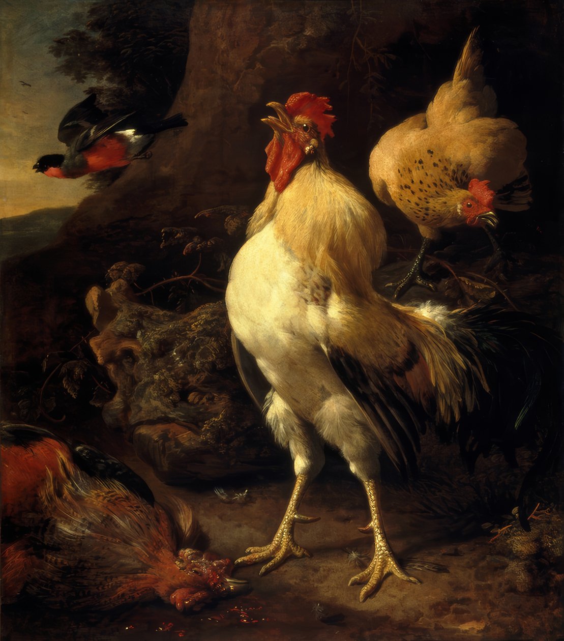 M. de Hondecoeter, vinderhanen af Melchior de Hondecoeter