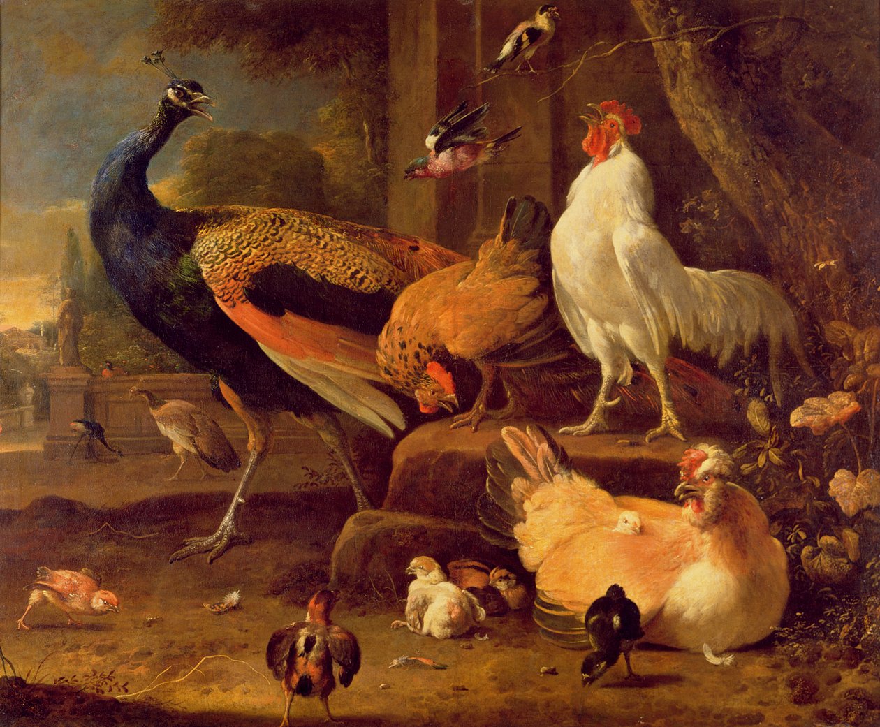 Fjerkræ, c.1670 af Melchior de Hondecoeter