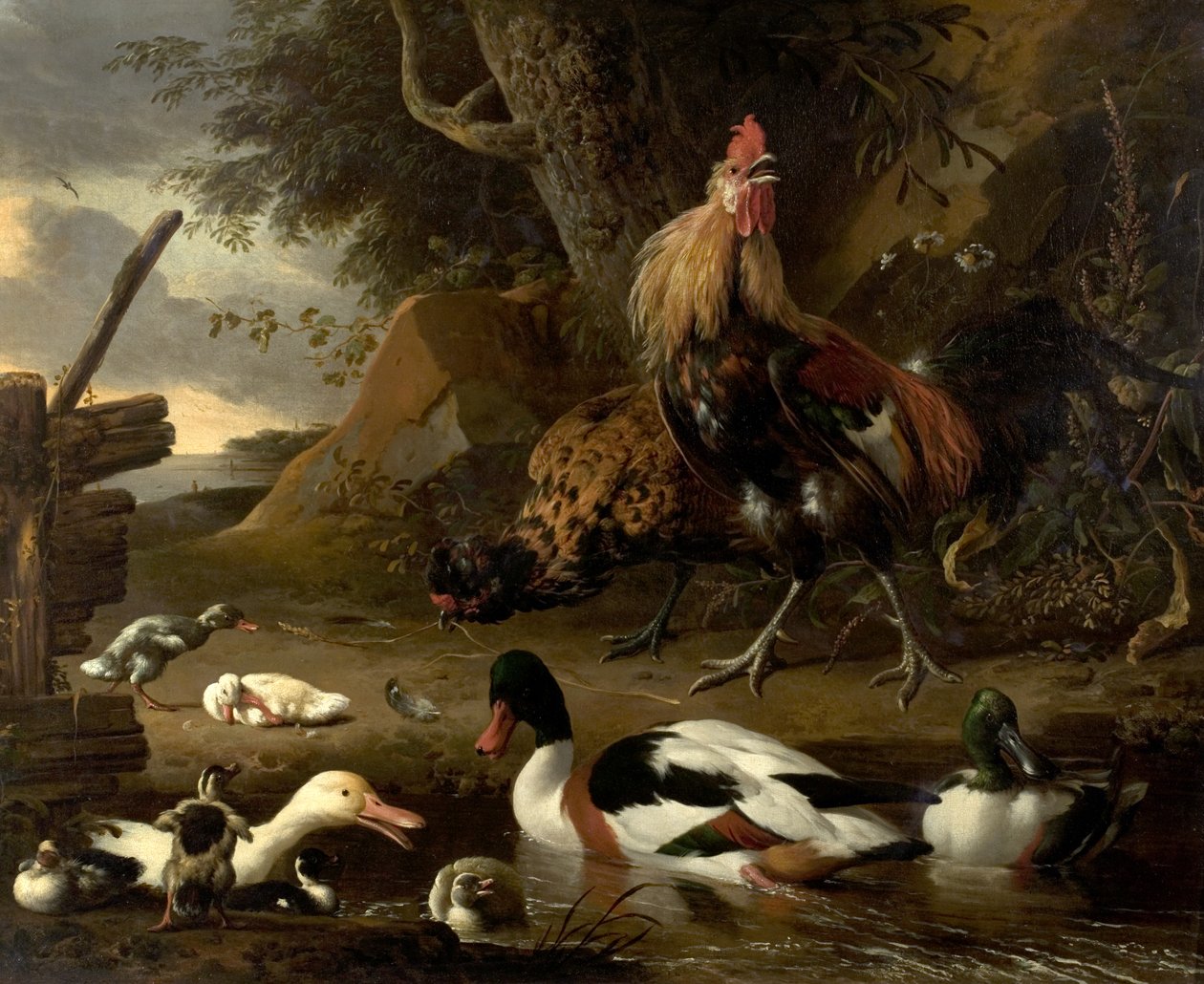 To høns og ænder på en dam af Melchior de Hondecoeter