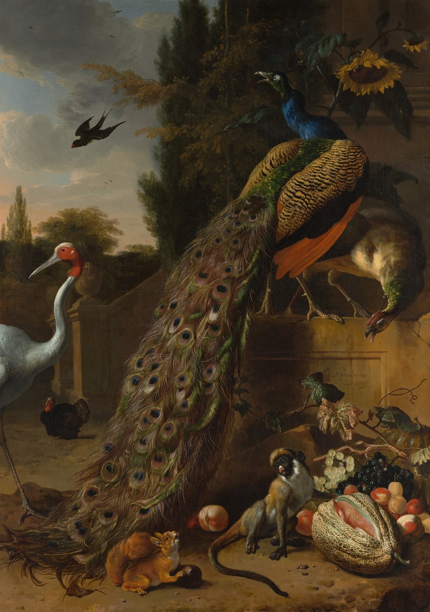 Påfugle, 1683. af Melchior d