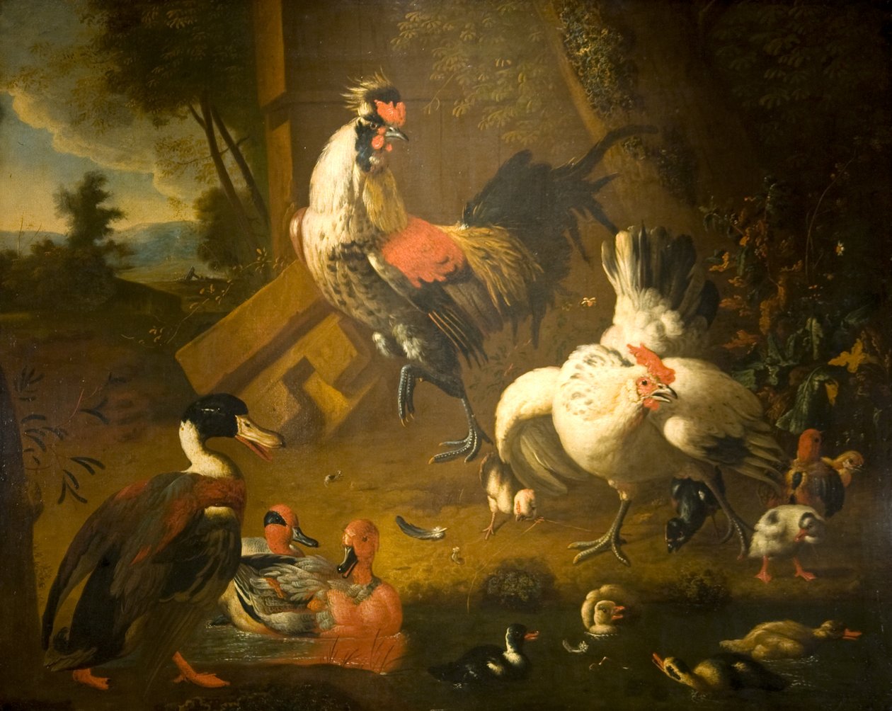 En hane med en høne og tre ænder af Melchior de (studio of) Hondecoeter