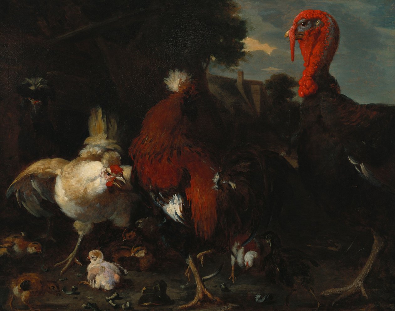 En høne, hane og kalkun i en gård af Melchior de Hondecoeter