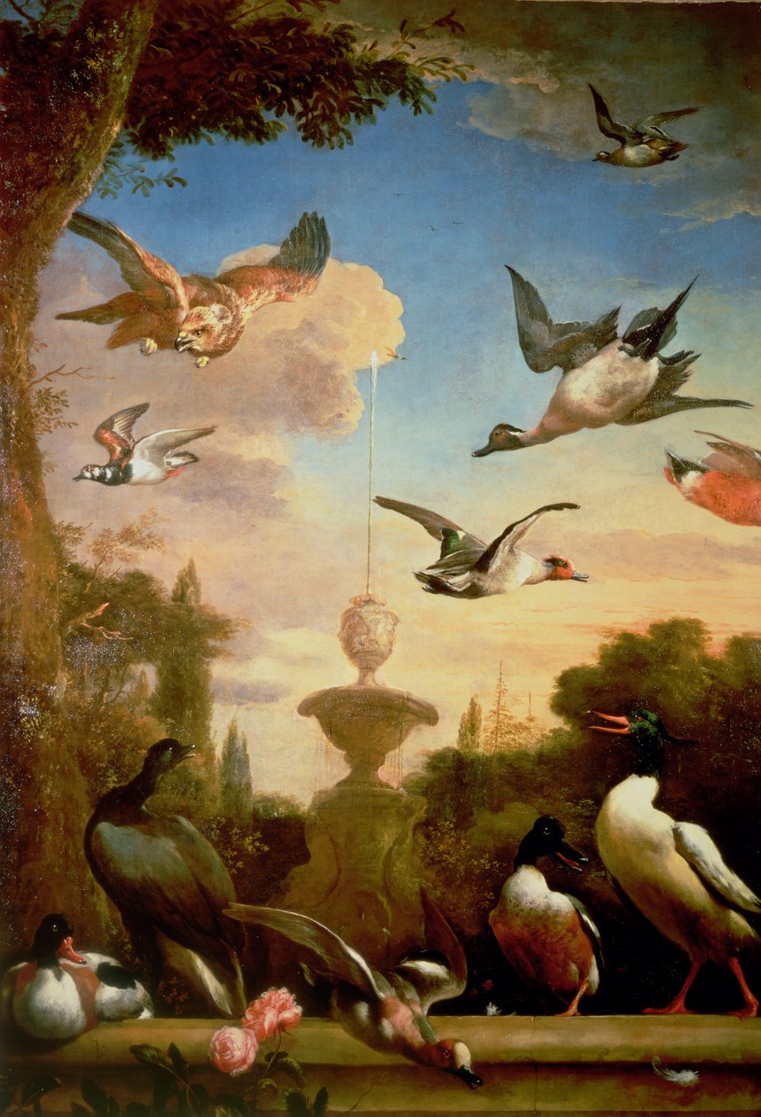 En gråand og en kongeørn i et klassisk havelandskab af Melchior de Hondecoeter
