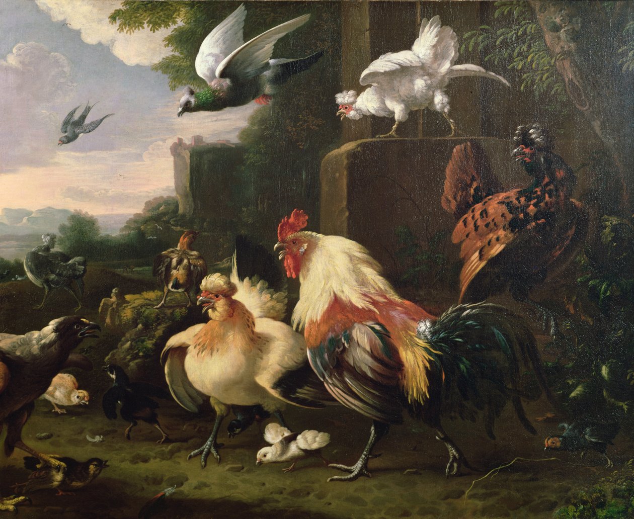 En hane og andre høns i et landskab af Melchior de Hondecoeter