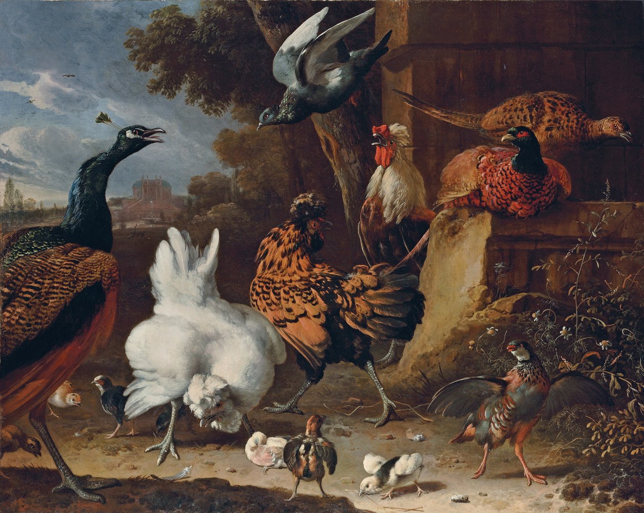 En hane, høns, kyllinger, en agerhøne, fasaner, en påfugl og en due ved en mur i parken i et palæ af Melchior de Hondecoeter