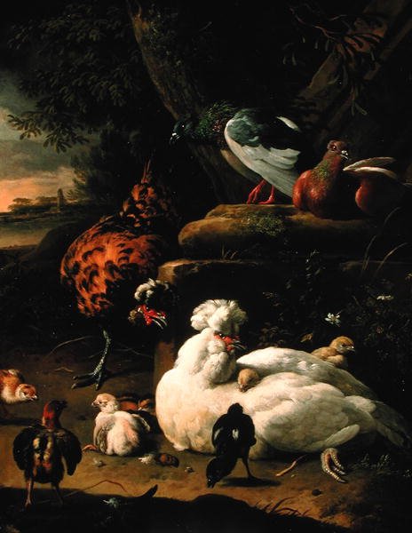 En høne med kyllinger, en hane og duer i et landskab (olie på lærred) af Melchior de Hondecoeter