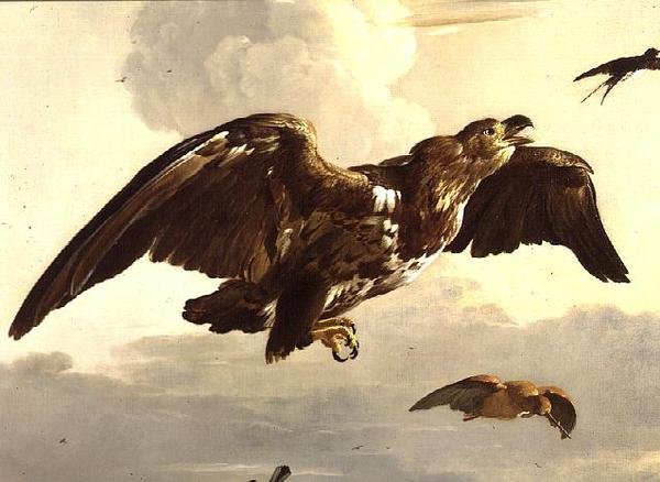 En ørn og en svale på flugt af Melchior de Hondecoeter