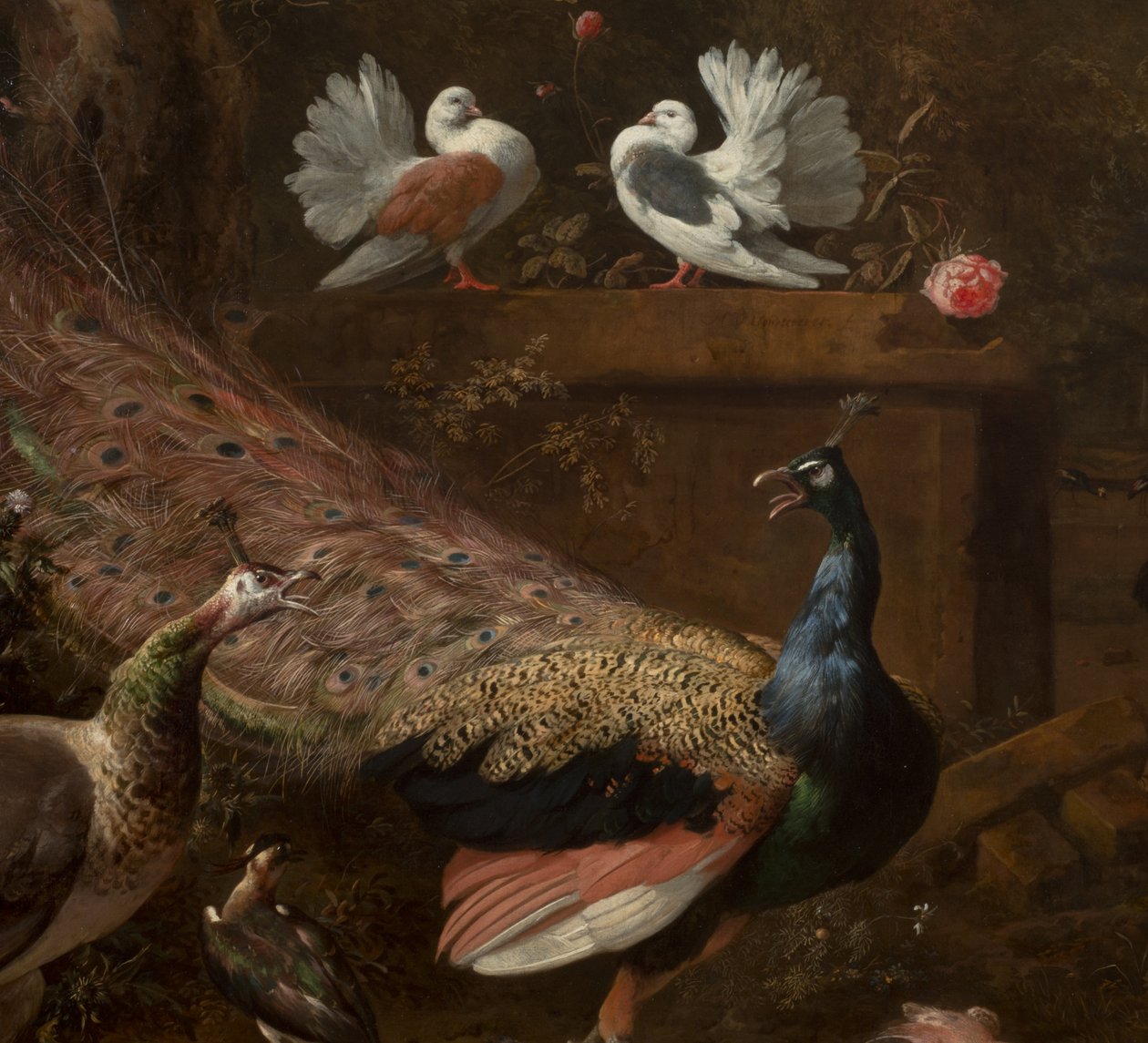 Detail from Menagerie, c.1680dani af Melchior de Hondecoeter