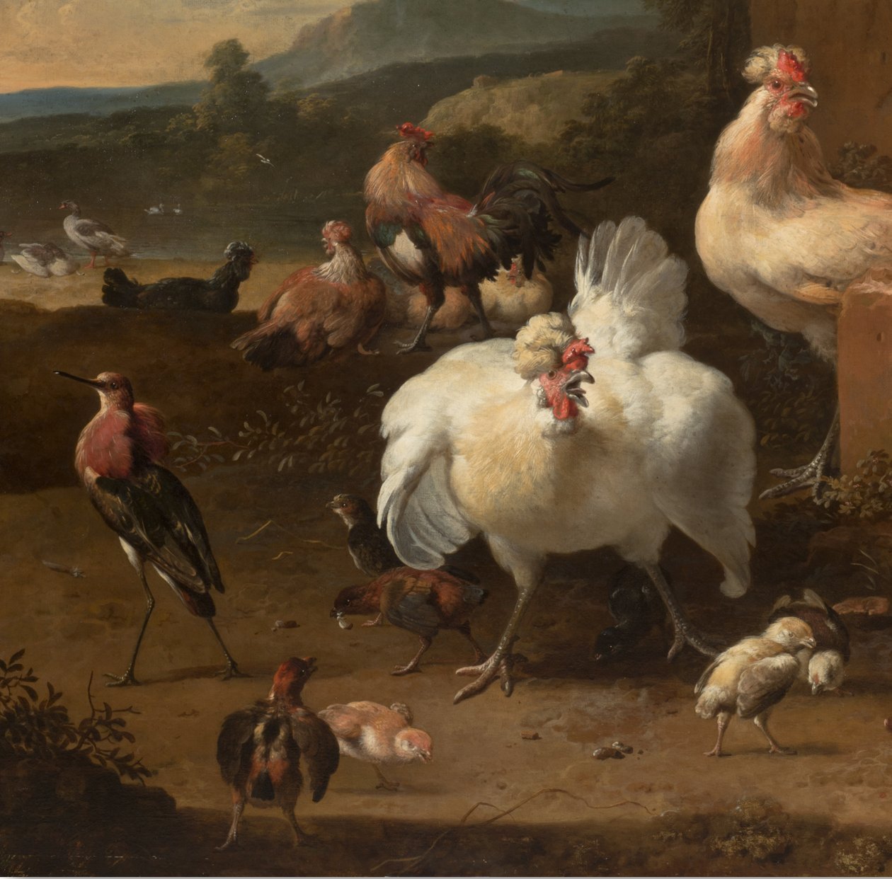 Detalje fra Menageriet, c.1680 af Melchior de Hondecoeter