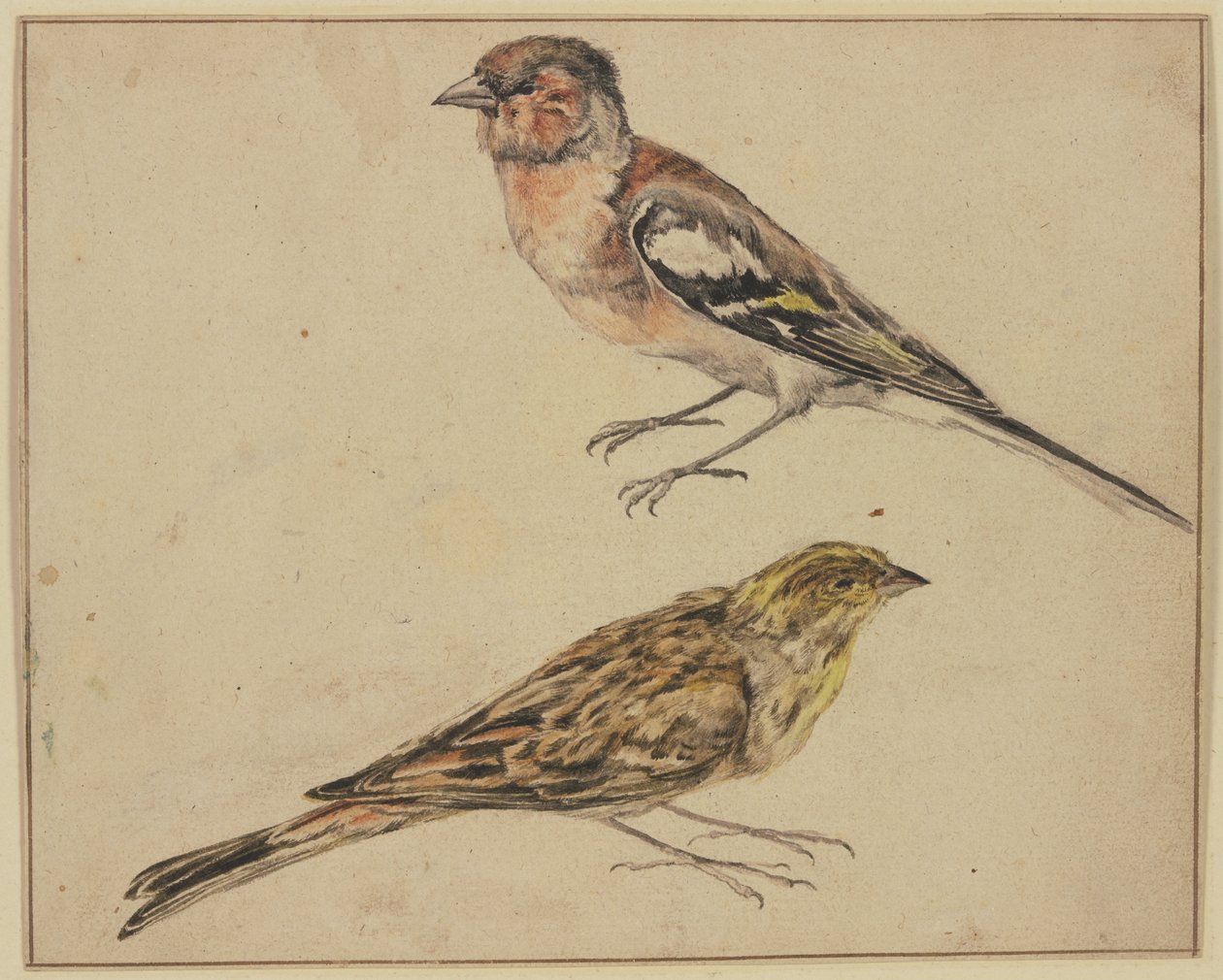 En stillits og en tornirisk af Melchior de Hondecoeter