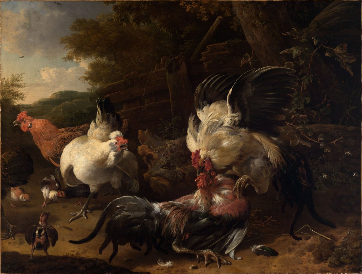 Kæmpende haner af Melchior de Hondecoeter
