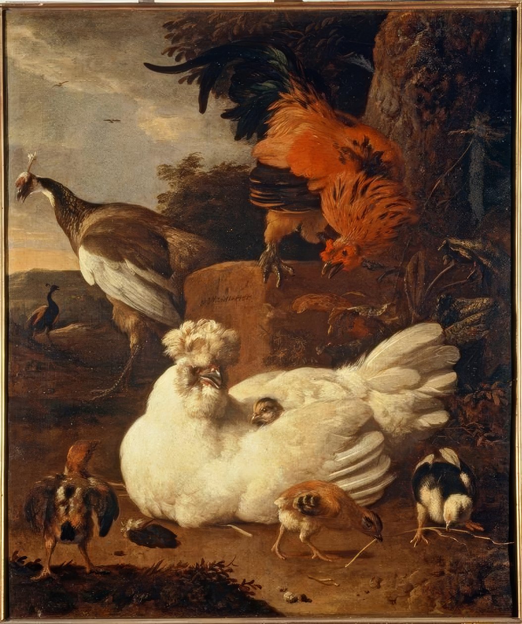 M. de Hondecoeter, hønemor med kyllinger af Melchior de Hondecoeter