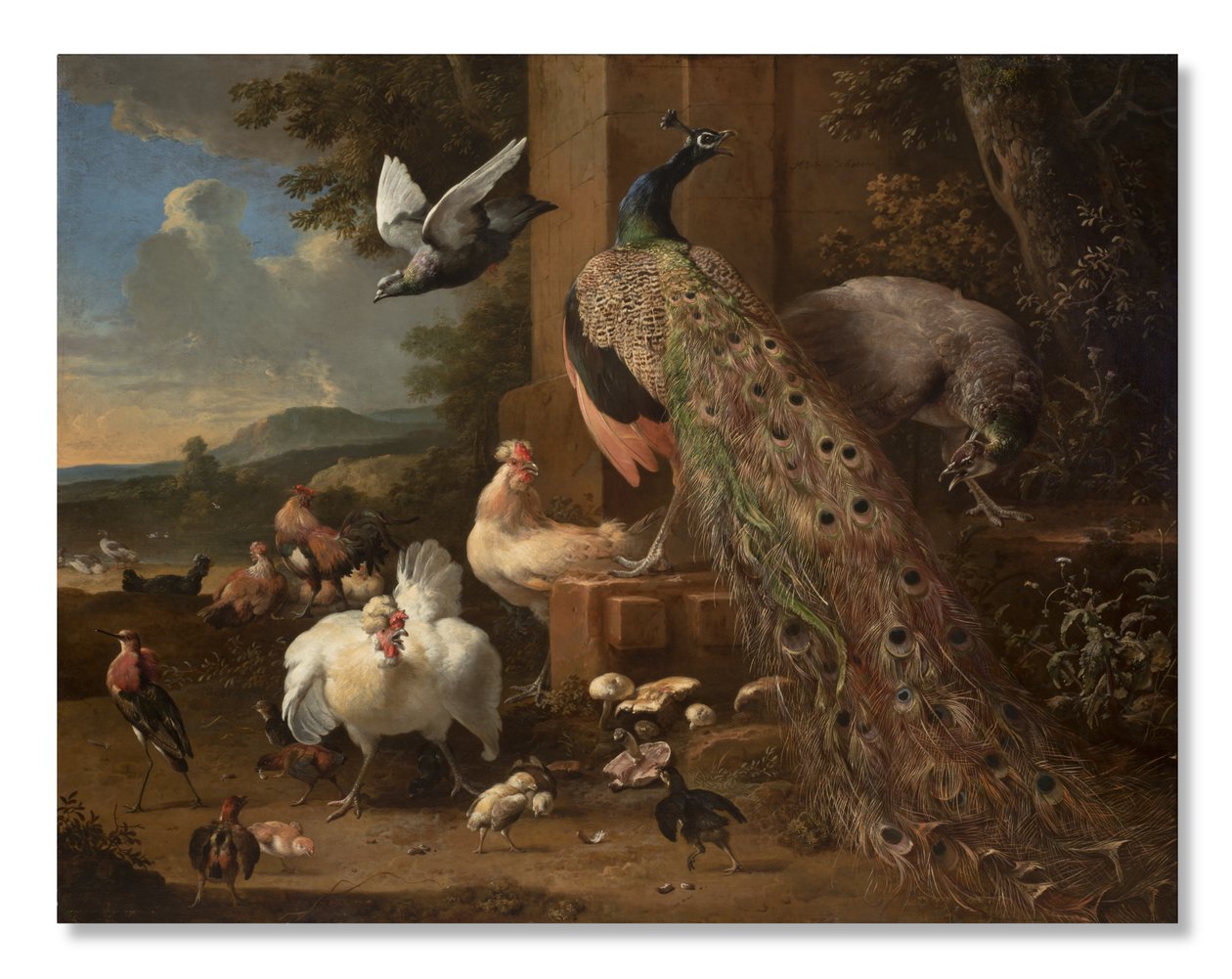 Menageri, c.1680 af Melchior de Hondecoeter
