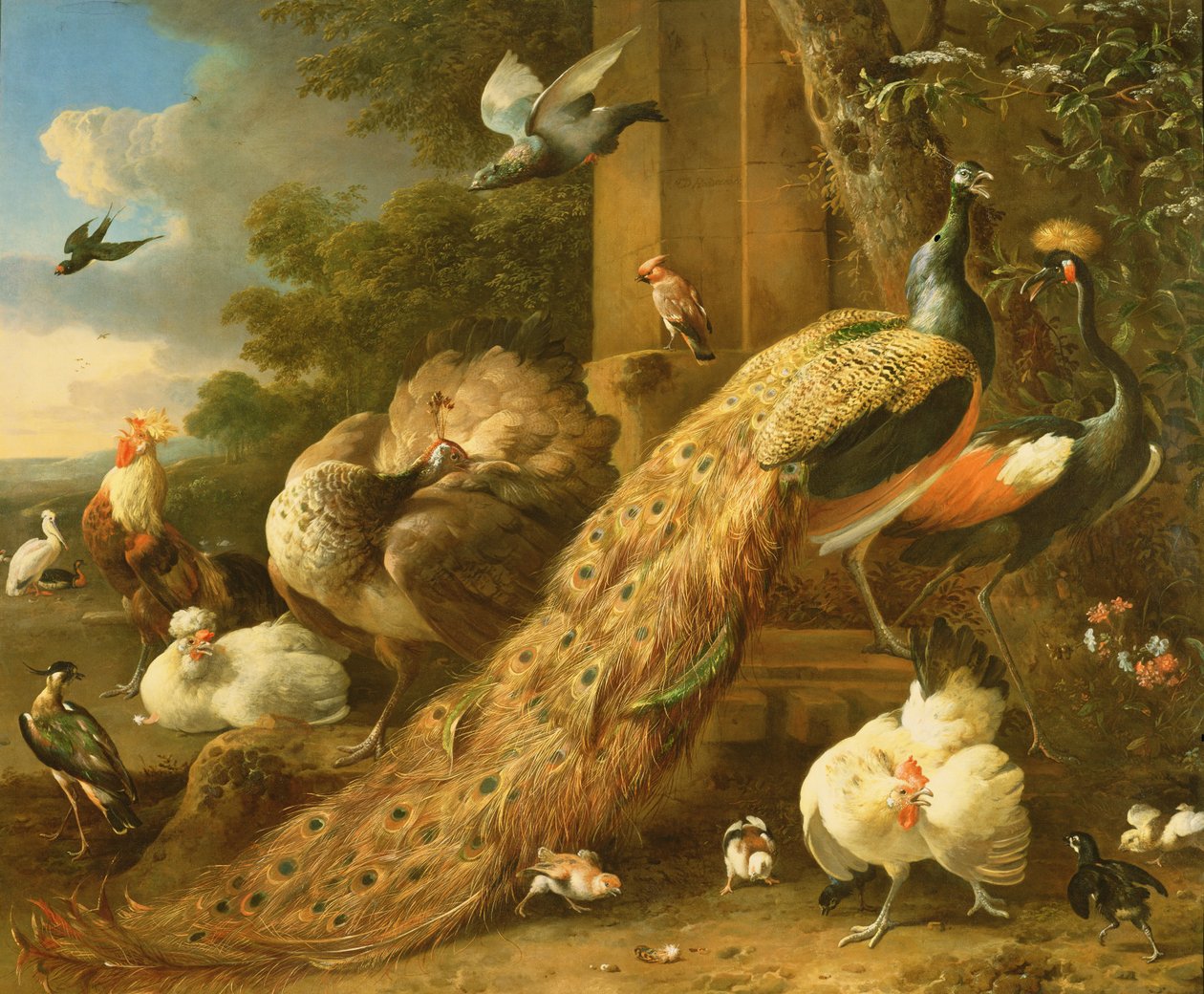 Påfugl, parakit, pelikan, trane og fjerkræ af Melchior de Hondecoeter